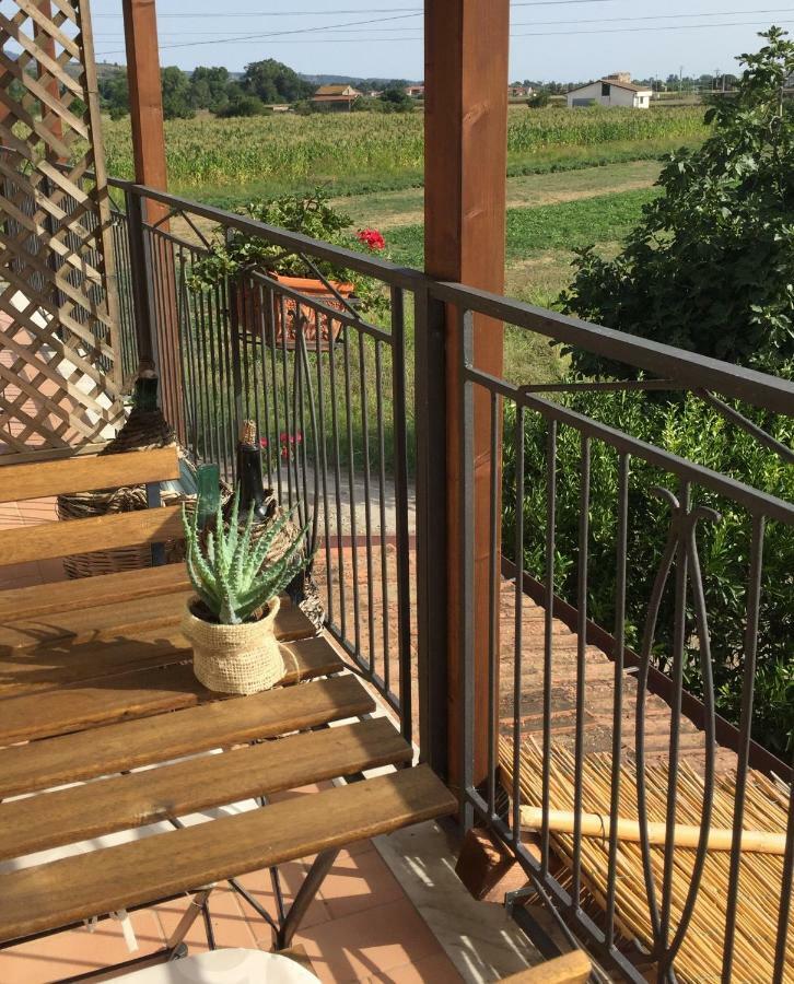 B&B La Nonnina Del Cilento Casal Velino Exterior photo