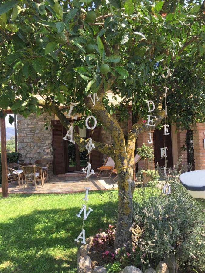 B&B La Nonnina Del Cilento Casal Velino Exterior photo